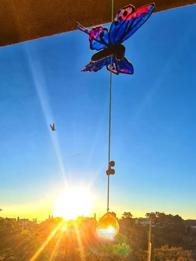 Blue butterfly at sunset with crystal
